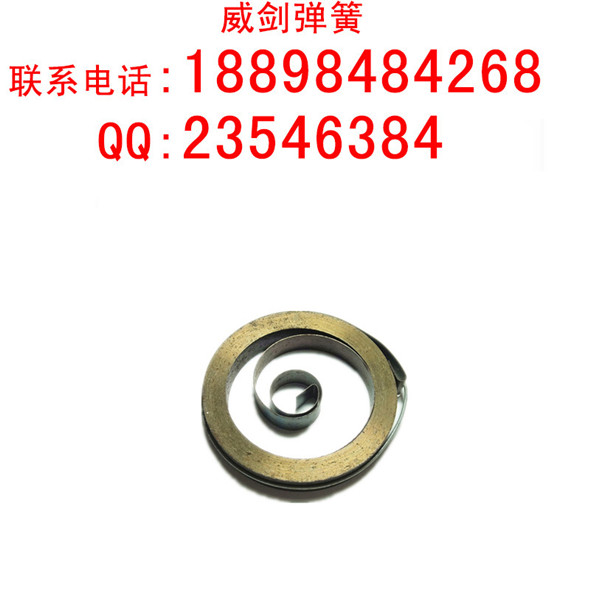 ɏS
