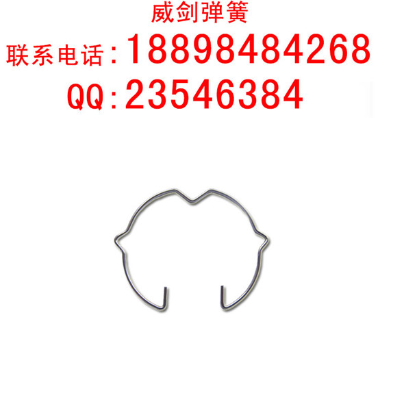 ɏS
